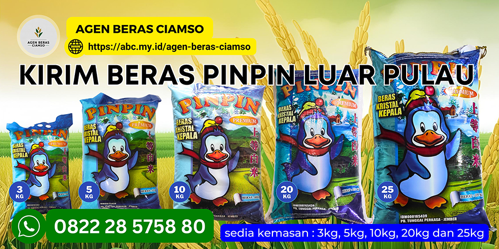 Agen Beras Pinpin