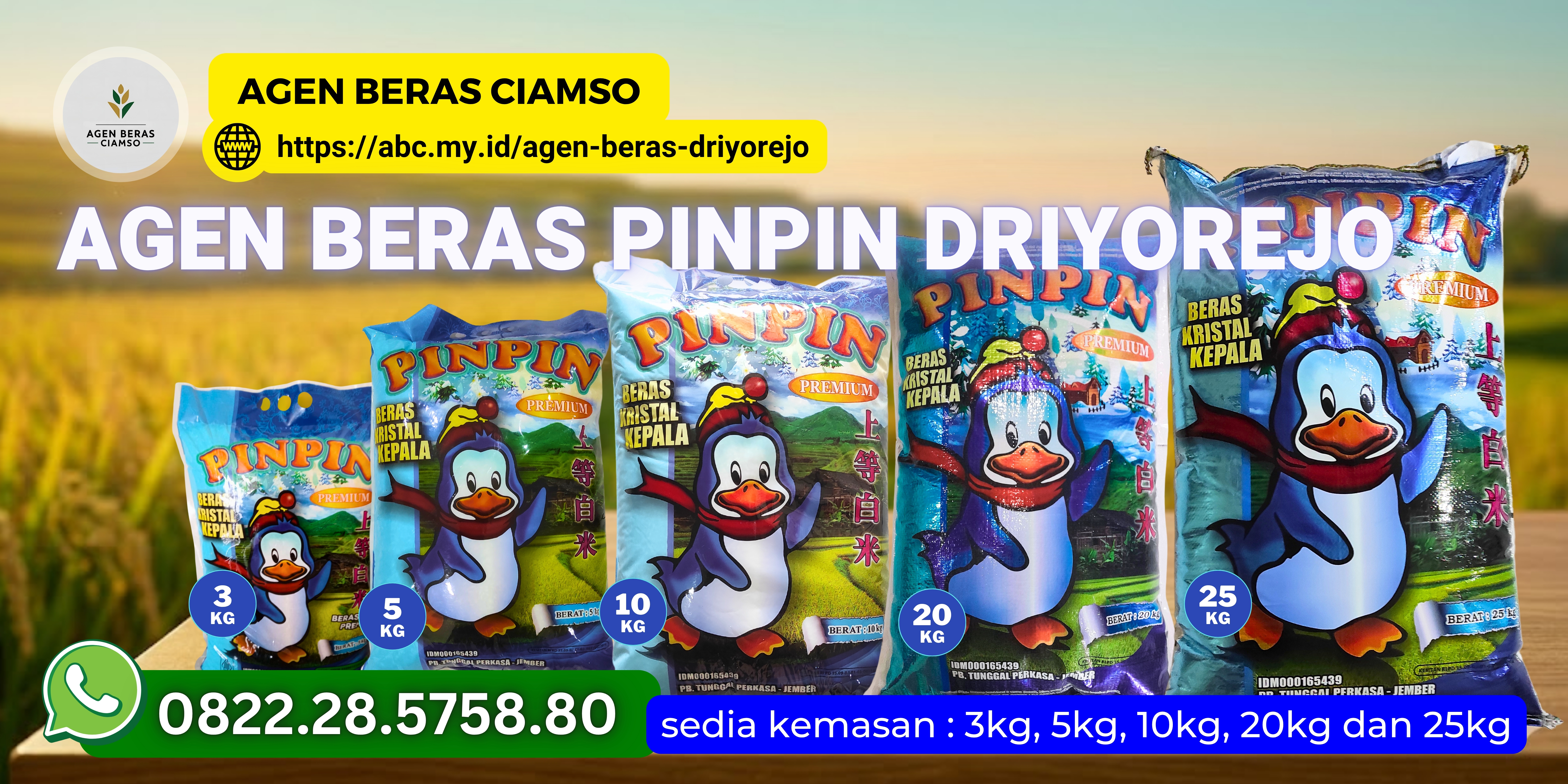 Agen Beras Pinpin Driyorejo